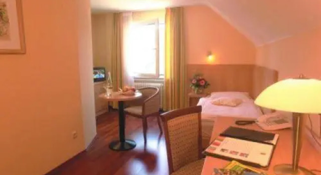 Одноместный номер Standard Hotel Ritschlay