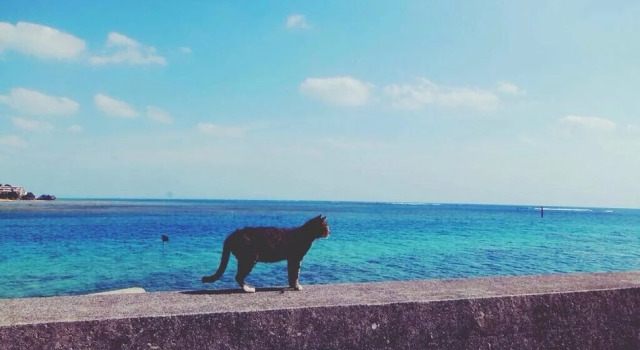 Umi No Ie Akebonoso, Забронировать Отель Нандзё Okinawa Island - South