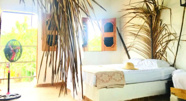 Номер Standard Palomino Hostel