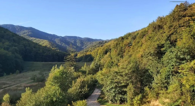 Апартаменты Forest Breeze ApartTerrace