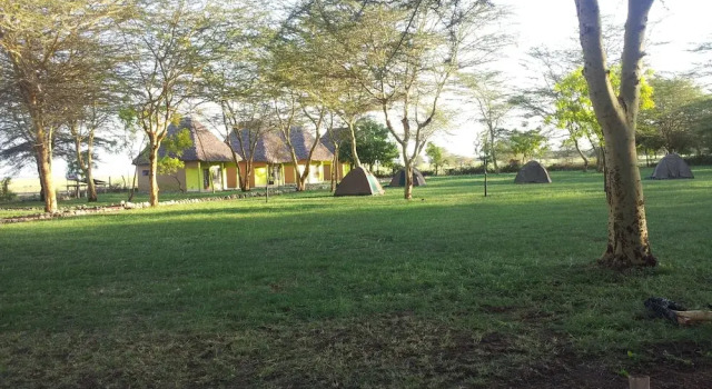 Habitación Estándar Eco Boma Camp