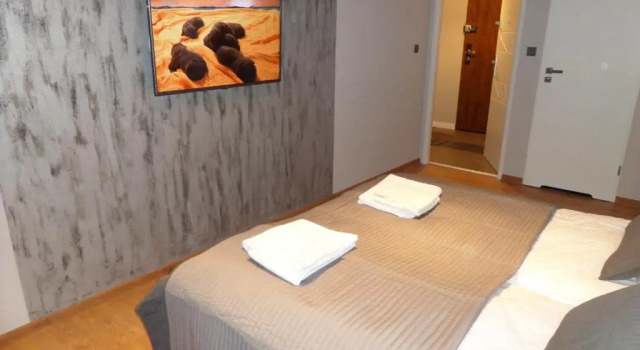Номер Deluxe Apartament Wiosenna Kielce