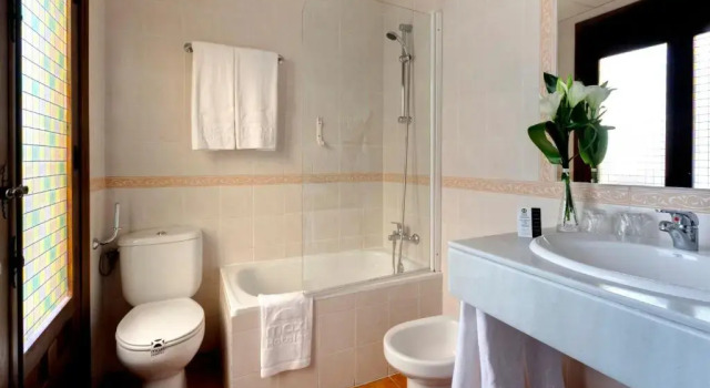 Двухместный номер Standard Sercotel Toledo Imperial
