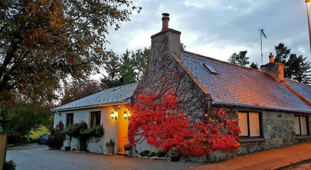Lilyoak Bed & Breakfast, Prenota Hotel  