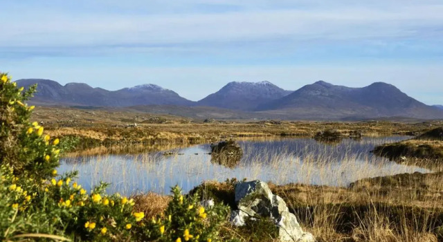 Cottage 430 - Roundstone