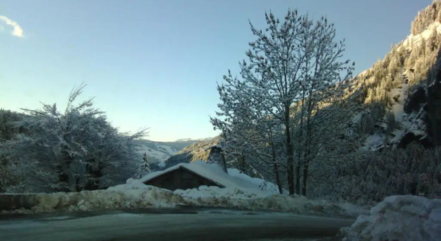 Le Foueustarle