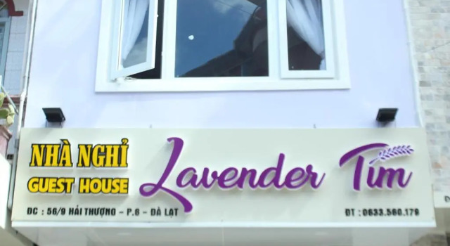 Номер Standard Lavender Tim