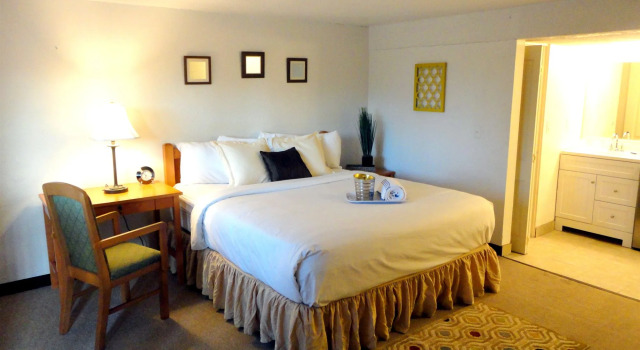 Inn at Palm Springs, Забронировать Отель Палм-Спрингс Coachella Valley, рядом с Loehmanns Plaza Shopping Center