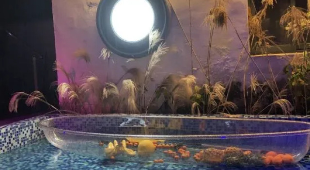 Tongli Xingfuli Inn, Book Hotel Hoteller i Suzhou med parkering, Parkering