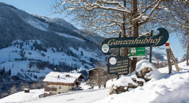 Ganzenhubhof