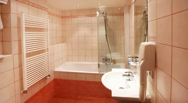 Номер Deluxe Wellness Hotel Zlatá Hvězda
