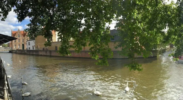 Uilenspiegel Brugge