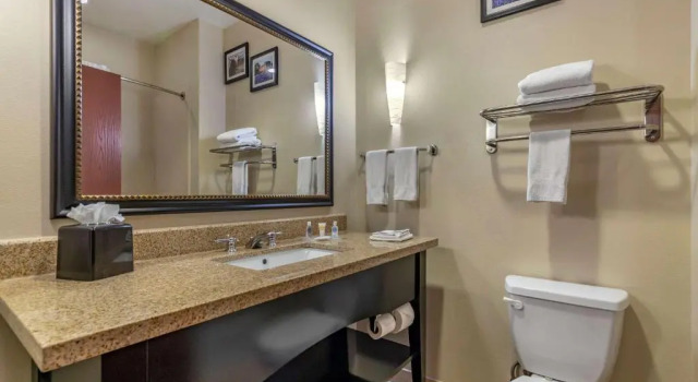 Люкс Comfort Suites Buda - Austin South