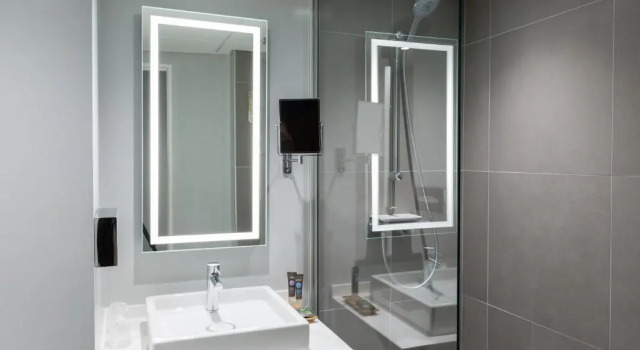 Номер Classic Novotel Poitiers Site du Futuroscope