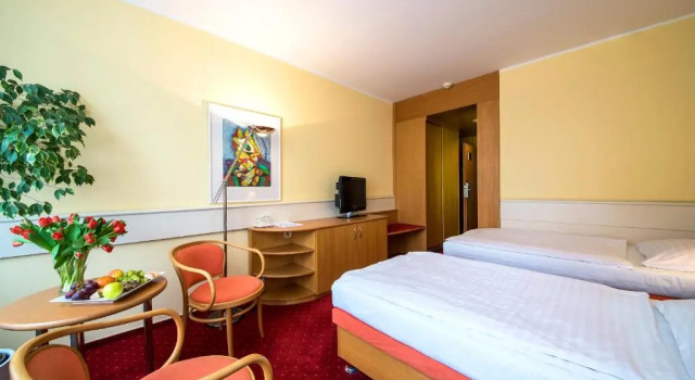 Номер Standard Hotel Jana