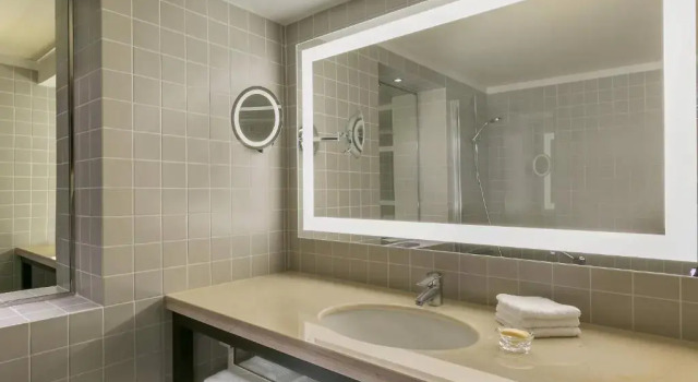 Двухместный номер Executive с красивым видом из окна Sheraton Bucharest Hotel