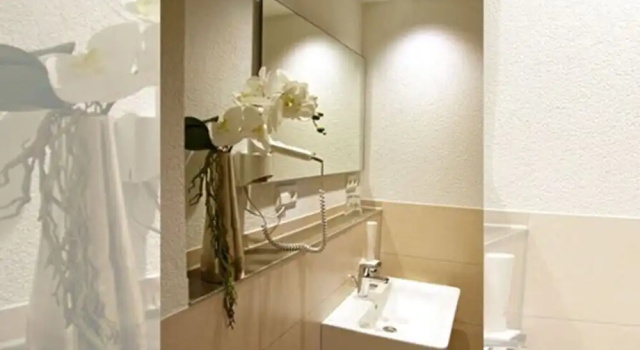 Одноместный номер Standard Hotel Asgard