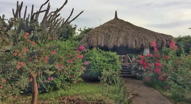 Бунгало Mondi Lodge