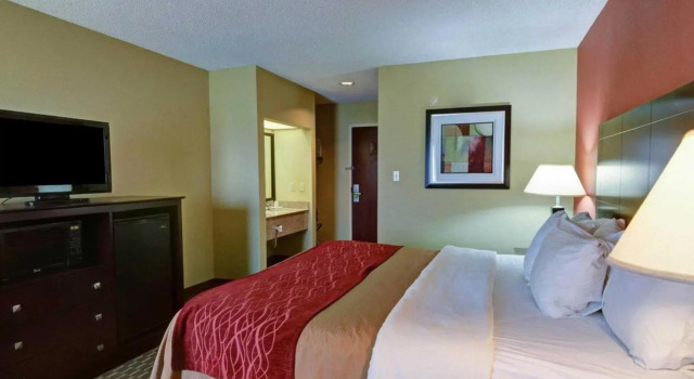 Номер Standard Quality Inn & Suites Pine Bluff