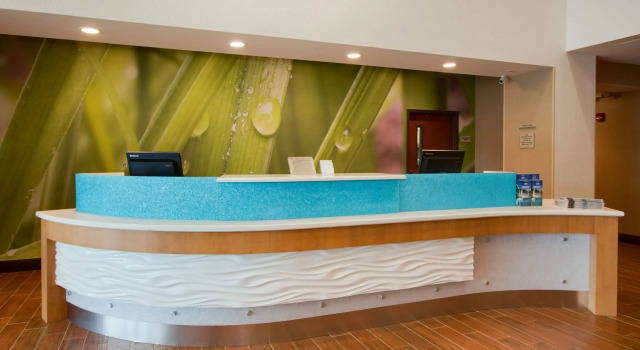 SpringHill Suites by Marriott Orlando Lake Buena Vista South