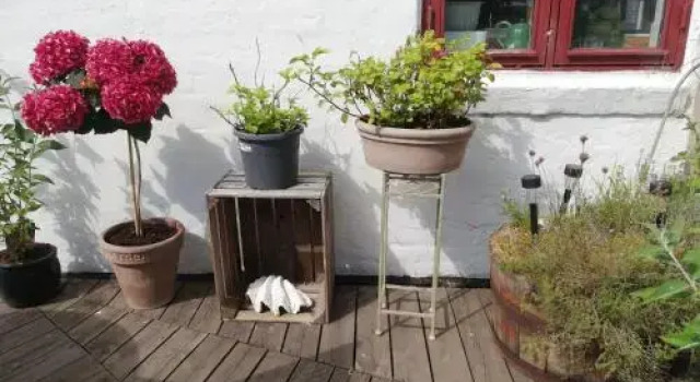 Rosengardens Bed & Breakfast, Book Hotel Føllenslev Sjælland