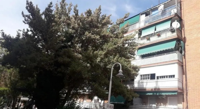 La Torreta, Coslada-Central, aeropuerto, Varaa Hotelli Hotellit Madridin maakunta pysäköinnillä, Pysäköinti