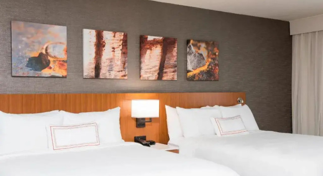 Номер Superior Sonesta Hotel Grand Rapids Airport