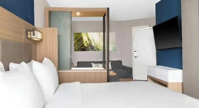 Люкс SpringHill Suites by Marriott Holland