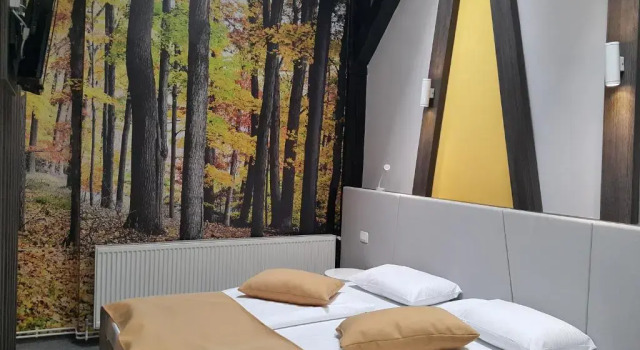 Семейный номер Standard Hotel Emonec