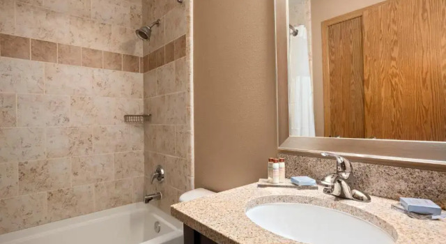 Suite Hawthorn Suites by Wyndham