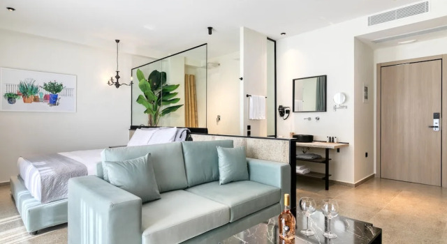 Двухместный номер Deluxe с балконом Athens Ivy Suites
