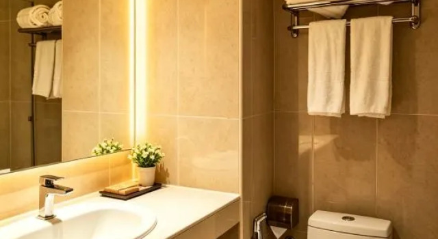 Люкс BTC Hotel 比特币酒店