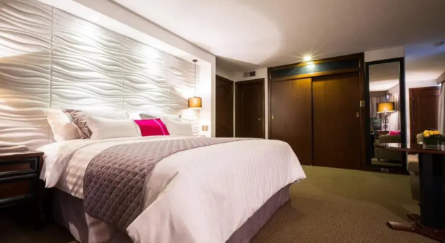 Люкс Hotel Presidente