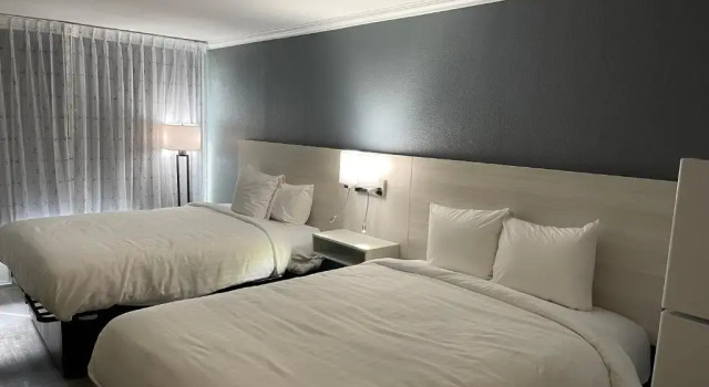 Четырёхместный номер Standard MainStay Suites Florence - Darlington