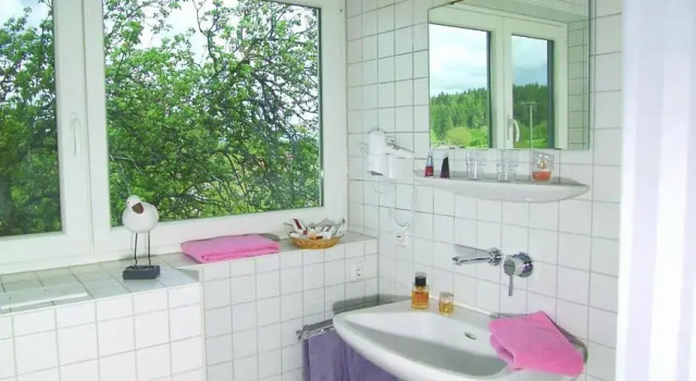 Номер Standard Hotel-Landgasthof Brachfeld