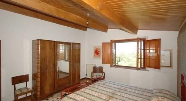 Deodara, Prenota Hotel Santa Maria a Monte Toscana