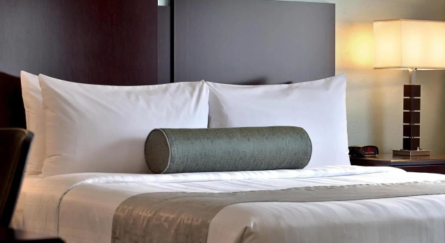 Люкс Best Western Chicago Downtown-River North
