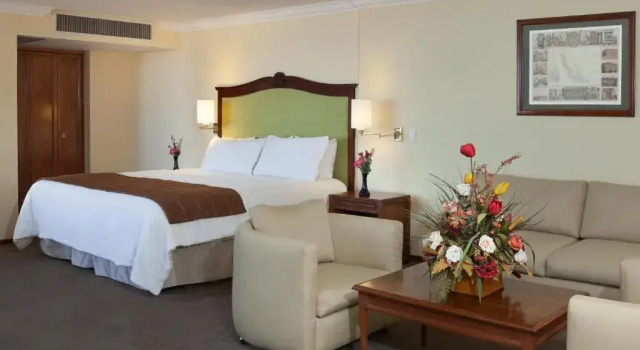 Einzel Junior-Suite Hotel Francia Aguascalientes