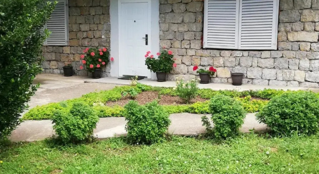 Апартаменты Apartment Jazz Golubac