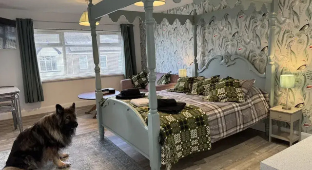 Номер Superior Traeth Rooms