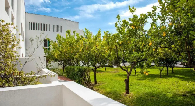 Номер Standard Hotel Torre Oliva