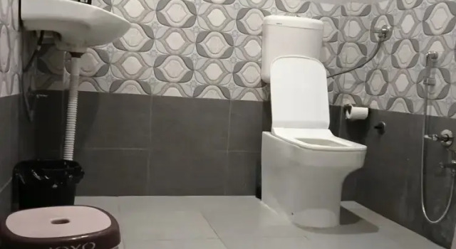 Номер Deluxe Hotel Shivngan