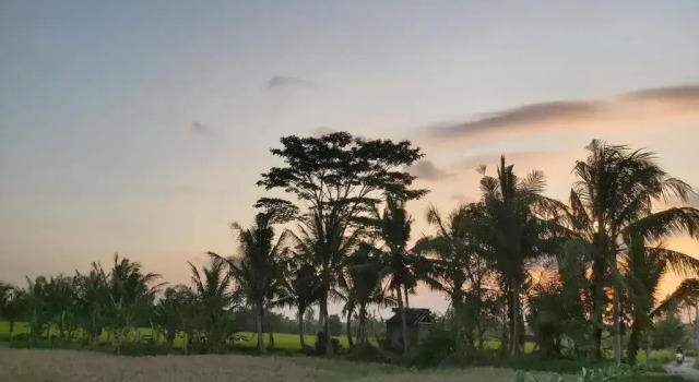 Двухместный номер Superior Ayuna Family Ubud