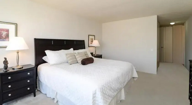 Corporate Suites Network - 233 E. Wacker