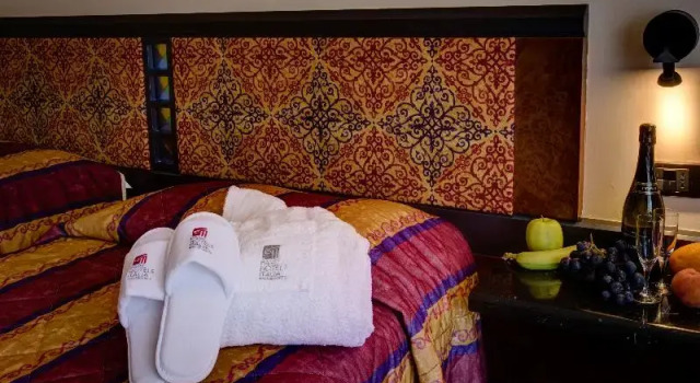 Номер Standard Parc Hotel Gritti