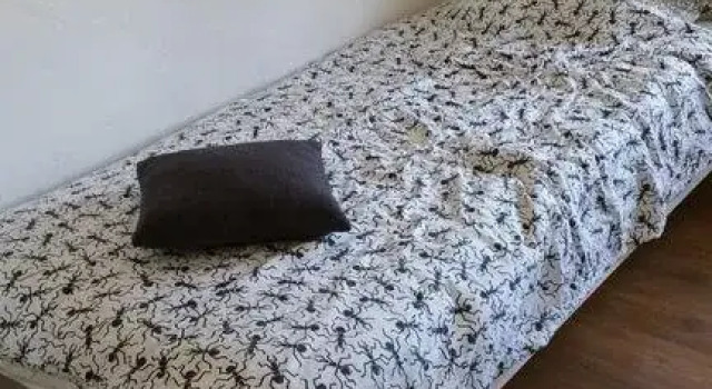 Hostel Semermaes, Prenota Ostello  