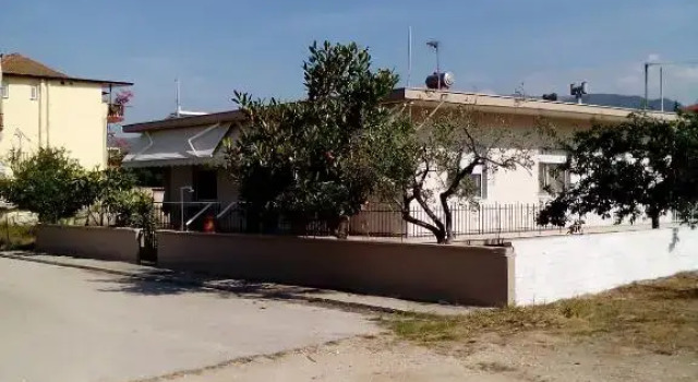 Iordanis