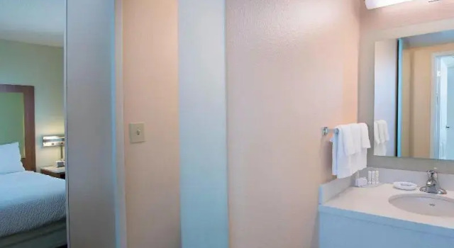 Студия SpringHill Suites by Marriott Atlanta Alpharetta