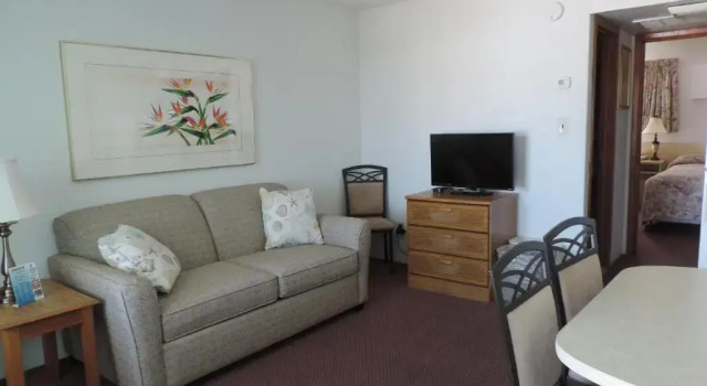 Люкс c 1 комнатой Panoramic Motel & Apartments