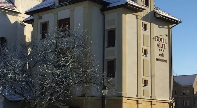 Hotel Arte